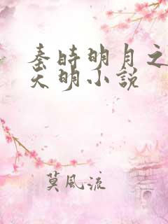 秦时明月之夜尽天明小说