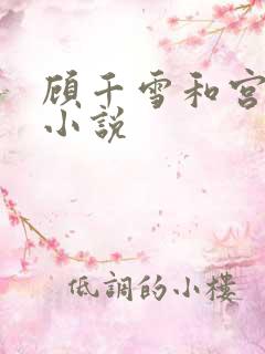 顾千雪和宫凌沨小说