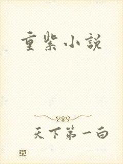 重紫小说