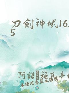 刀剑神域16.5