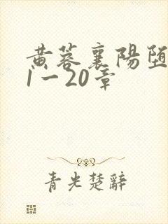 黄蓉襄阳堕落史1一20章