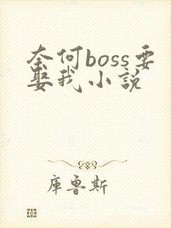 奈何boss要娶我小说