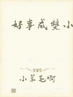 好事成双小说