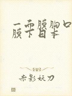 一面膜胸口一面膜下日本