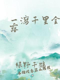 一泻千里金银花露