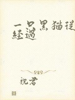 一只黑猫从眼前经过
