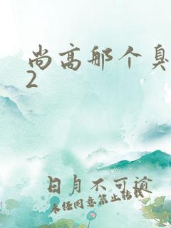 尚高那个臭小子2