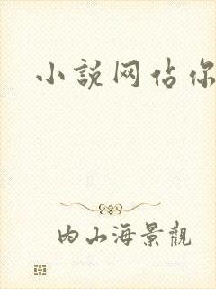 小说网站你懂的