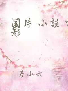 图片 小说 电影