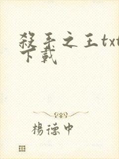 杀手之王txt下载