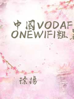 中国VODAFONEWIFI粗暴APP