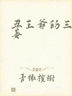 丑王爷的三妻四妾