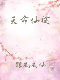 天命仙途