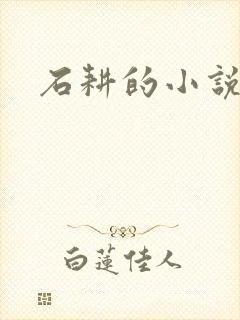 石耕的小说