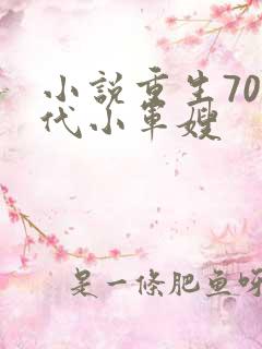 小说重生70年代小军嫂