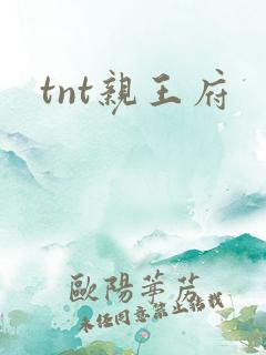 tnt亲王府