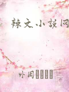 辣文小说网