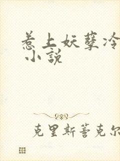 惹上妖孽冷殿下 小说