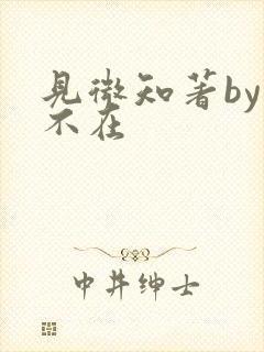 见微知著by音不在