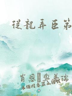 从龙弄臣第一次