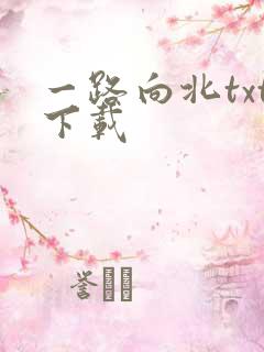 一路向北txt下载