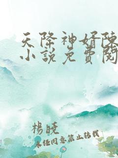 天降神婿陈黄皮小说免费阅读