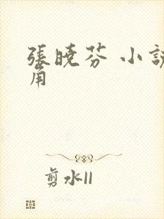 张晓芬 小说主角