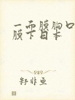 一面膜胸口一面膜下日本