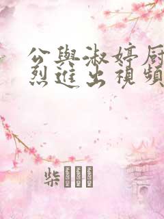 公与淑婷厨房猛烈进出视频