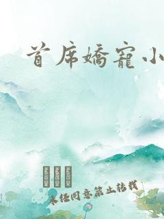 首席娇宠小情人