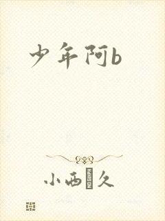 少年阿b