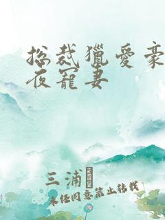 总裁猎爱豪门一夜宠妻