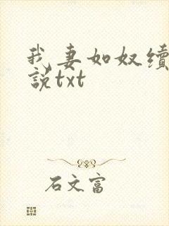 我妻如奴续写小说txt