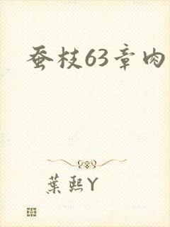 蚕枝63章肉