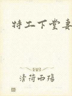特工下堂妻