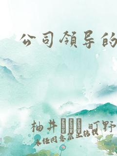 公司领导的老婆