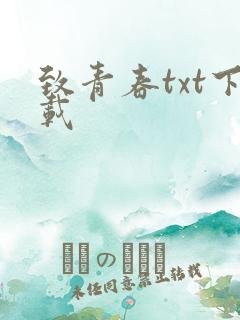 致青春txt下载