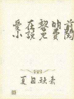 爱在黎明前降落小说免费阅读