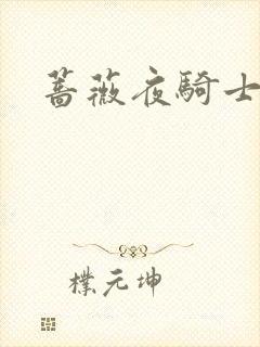 蔷薇夜骑士