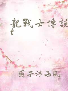 龙战士传说txt