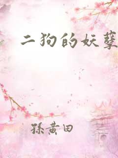 二狗的妖孽人生