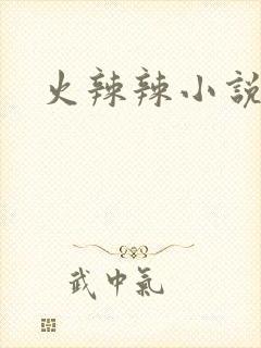 火辣辣小说全集