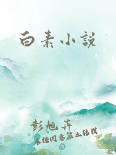 白素小说