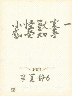 小怪兽塞一天的感受知乎