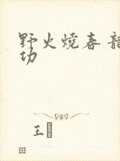 野火烧春 龙鸣功