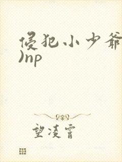侵犯小少爷(H)np