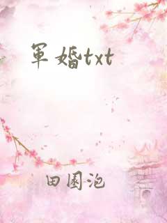 军婚txt