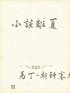 小说离夏