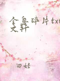 全息碎片txt文轩