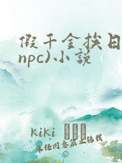 假千金挨日记(npc)小说